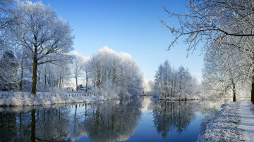 заснеженный парк с озером зима