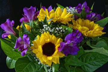 Фото бесплатно красивый букет, букет, подсолнечник, цветы