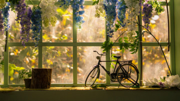 велосипед, окно, бревно, горшок с цветком, цветы, интерьер, 3840х2160, 4к