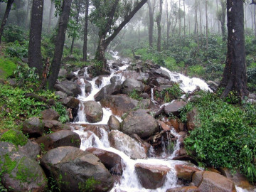водопад, камни, лес, природа, фото, скачать, waterfall, rocks, forest, nature, photo download