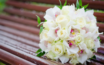 цветы, букет, белые розы, свадьба, лавочка, букет невесты, праздник