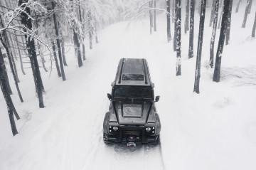 черный Land Rover, зима, лес, снег, внедорожник