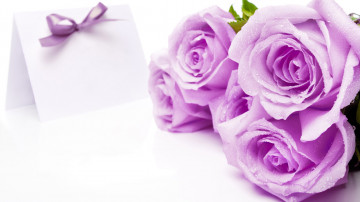 фиолетовые розы, букет, цветы, открытка, праздник, поздравление, purple roses, bouquet, flowers, postcard, holiday, congratulation