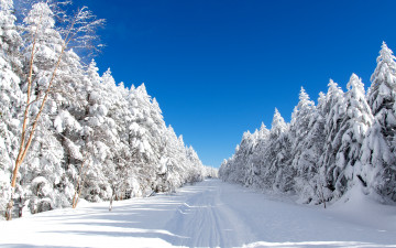 заснеженная дорога, ёлки в снегу, голубое небо 3840х2160 4к обои зимний пейзаж