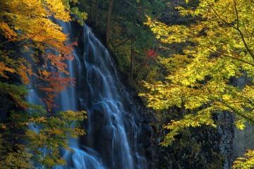 Фото бесплатно природа, скалы, желтая листва, водопад