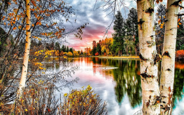 картина, пейзаж, осень, березы, отражение в воде, река, деревья, искусство, рисованные обои