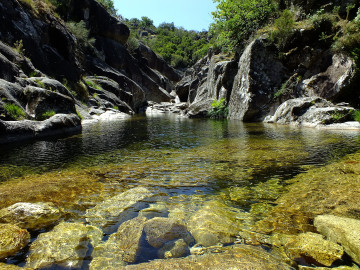 Фото бесплатно вода, поток, долина, камни, природа, лето