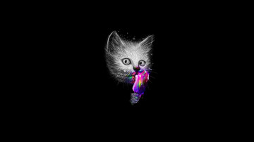 минимализм, мордочка котенка, черный фон, картинка, Minimalism, kitty muzzle, black background, picture