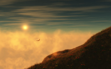 птица парит над туманом, утро, восход, небо, природа, обои, Bird hovers above the fog, morning, sunrise, sky, nature, wallpaper