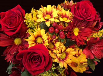 Фото бесплатно красные розы, желтые цветы, большой красивый букет