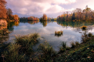 Фото бесплатно озеро, трава, кустарники, осень, природа