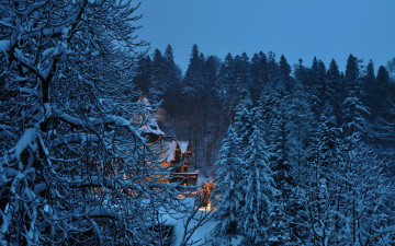 Фото бесплатно снег, природа, вечер, деревья, дом, зима, сумрак