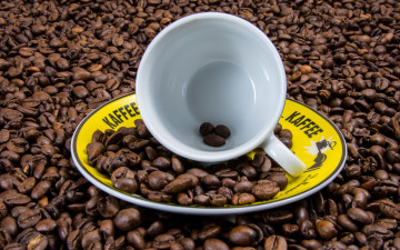 4K, coffee beans, a cup and saucer, aroma, breakfast, 4К, кофейные зерна, чашка с блюдцем, аромат, завтрак