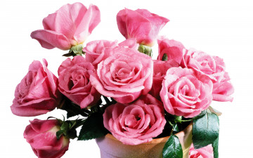 розовые розы, букет в вазе, pink roses bouquet in a vase