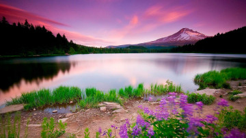 горное озеро, цветы, закат, природа, очень красивые обои для ПК, Mountain lake, flowers, sunset, nature, very beautiful wallpapers for PC