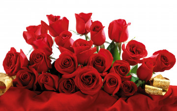 розы бордовые, букет, бутоны, цветы, maroon roses, bouquet, buds, flowers