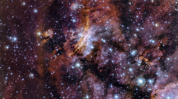 4К обои космос The Prawn Nebula in close-up-177, 3840х2160