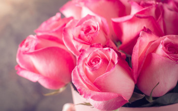 pink roses, bouquet, flowers, buds, розовые розы, букет, цветы, бутоны, 2880х1800