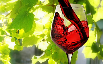 красное вино, бокал, виноград, лето, алкоголь, напиток, яркие обои, Red wine, glass, grapes, summer, alcohol, drink, bright wallpaper