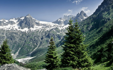Фото бесплатно снег на горах, лес, снег, зелёная трава, лето, деревья