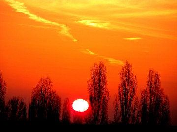 рассвет, утро, восход солнца, оранжевое небо, огненное солнце, деревья, осень, природа