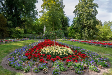 Фото бесплатно природа, Германия, парк, цветы