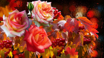 осень, дождь на стекле, розы, калина, красные ягоды, цветы