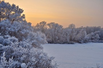 Фото бесплатно пейзаж, деревья, снег, иней, мороз, зима, закат, вечер, сумрак