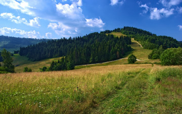 Фото бесплатно дорога, облака, поле, гора, лес, лето, природа