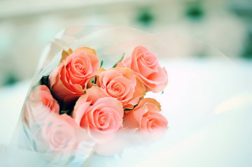 розовые розы, букет, цветы, бутоны, roses roses, bouquet, fleurs, bourgeons, pink roses, bouquet, flowers, buds