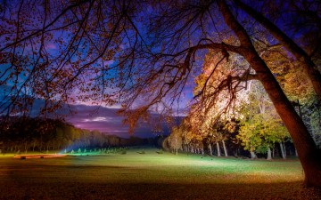 парк, ночь, природа, деревья, красивые обои на рабочий стол, Park, night, nature, trees, beautiful wallpapers