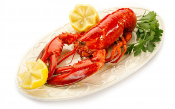 красный омар на тарелке, лимон, праздничная закуска, морепродукты, red lobster on a plate, lemon, festive appetizer, seafood