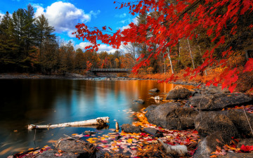 осень, природа, водоем, камни, деревья, пейзаж, Autumn, nature, pond, rocks, trees, landscape