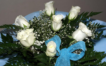 Фото бесплатно букет белых роз, цветы, бутоны, синий бант, праздник
