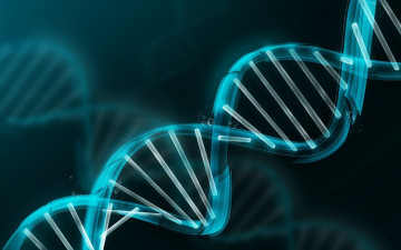 абстракция, ДНК, спираль, синий фон, Дезоксирибонуклеиновая кислота, abstraction, helix, blue background, Deoxyribonucleic acid