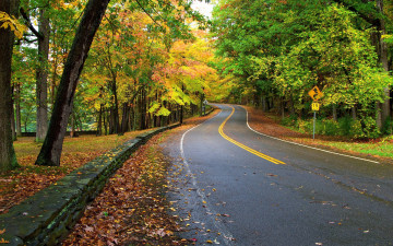 лес, осень, дорожный знак, дорога, природа