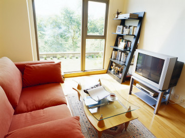 комната, телевизор, диван, журнальный столик, полка для книг, bathroom, TV, sofa, coffee table, a shelf for books