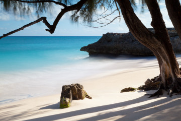 Фото бесплатно пейзажи, океан, камни, тропики, песок, пальма
