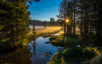 morning, river, fog, nature, forest, rays of the sun, summer, beautiful landscape, утро, река, туман, природа, лес, лучи солнца, лето, красивый пейзаж