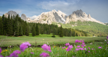 Обои на рабочий стол Природа, Альпы, Горы, Трава, Луга, Италия, Пейзаж, Dolomites