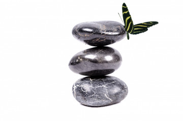 камни, бабочка, минимализм, белый фон