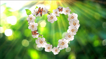 весенние обои, сердце из цветов, бабочки, весна, красиво, скачать, spring wallpaper, heart, flower, butterfly, spring, beautiful, download