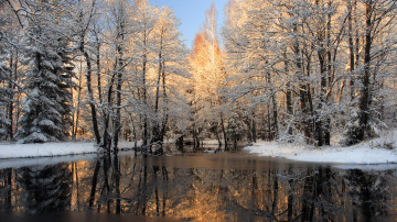 замерзшее озеро иней на деревьях зима 3840х2160 4к скачать