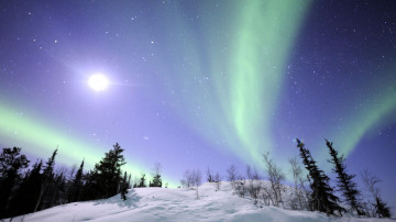 Северное сияние, Северо-Западные территории, Канада, природа, небо, снег, елки