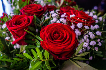 Цветы, красные розы букет