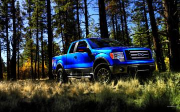 Ford F-150, 2009, синий, в лесу, авто, заставки, Ford F-150 2009, blue, forest, cars, screensaver