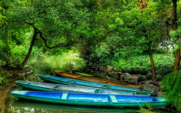 Фото бесплатно лодки, древесина, озеро, каноэ, деревья, природа