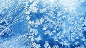 мороз, иний на стекле, зима, голубой фон, frost, blue on glass, winter, blue background