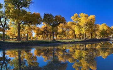 autumn, nature, river, yellow trees, reflection in water, autumn landscape, осень, природа, река, желтые деревья, отражение в воде, осенний пейзаж