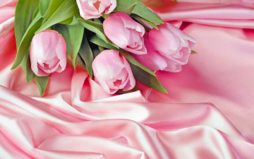 розовые тюльпаны на розовом атласе, букет, весенние цветы, Pink tulips on a pink satin, bouquet, spring flowers